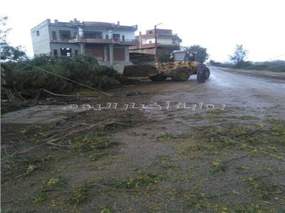 صور| لشدة الرياح والأمطار.. سقوط  بعض الأشجار علي طريق «قطور» الغربية 