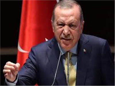 وثيقة استخباراتية: أردوغان «متهم» بنشر التطرف في هولندا