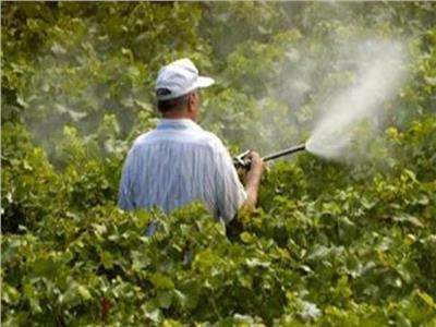 الزراعة: المركزي لمتبقيات المبيدات يحلل مليون عينة منذ إنشائه