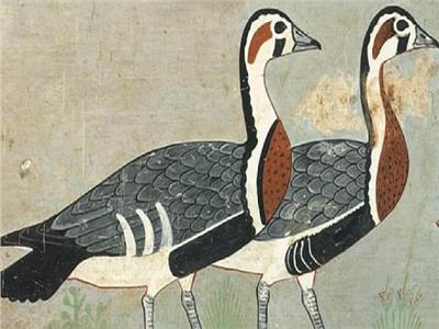 «موناليزا مصر القديمة» تكشف عن طائر غريب مُنقرض | صور