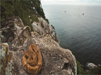 جزيرة يسكنها الثعابين بالبرازيل مُحرم زيارتها إلا بـ «تصريح حكومي»
