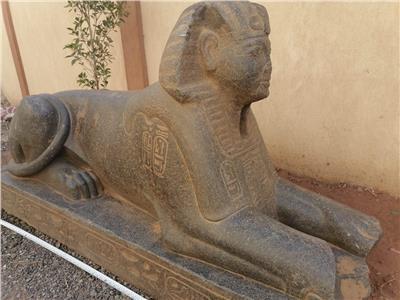 اليوم.. نقل تمثال شبيه أبو الهول إلى متحف الإسماعيلية القومي 