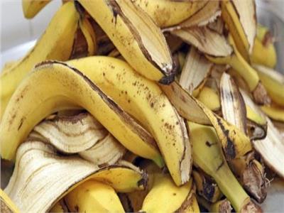 «تغذية الشعر وتنظيف الأسنان».. فوائد كبيرة من تجفيف قشر الموز