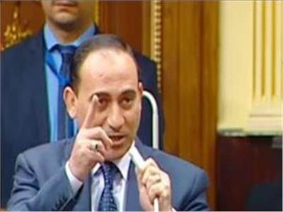 برلمانى: الرئيس السيسي حريص على التخفيف عن كاهل المواطن
