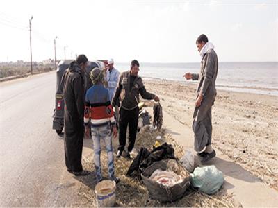 بحيرات مصر | «قـارون» تستعيد توازنها البيئي