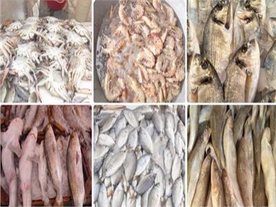 «شرطة التموين» تضبط 263 طن أسماك ومخللات منتهية الصلاحية 