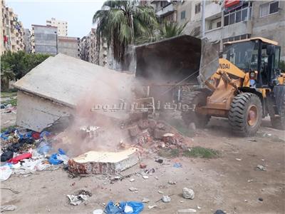 إزالة 11 محلًا مخالفًا على أراضي الدولة في الإسكندرية| صور