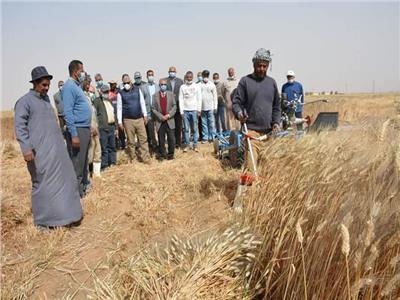 محافظ الوادي الجديد يشهد حصاد محصول القمح بقرية عدن بباريس