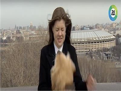 «كلب» يخطف الميكروفون من المذيعة على الهواء | فيديو  