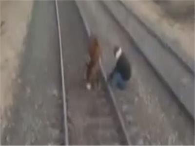 يقظة قائد قطار تنقذ حمارا مربوطا على شريط السكة الحديد | فيديو