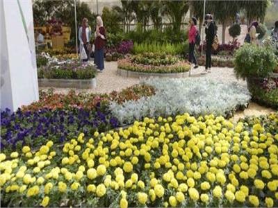 «الزراعة» تطلق المؤتمر السنوي حول «صناعة الزهور في مصر».. غدا