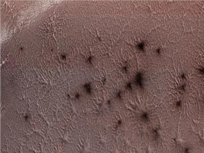 العلماء يكشفون لغز «عناكب المريخ» العملاقة 