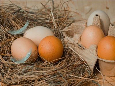 معلومات غير صحيحة «شائعة» عن البيض