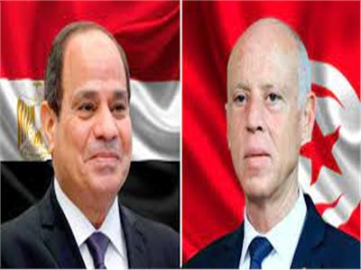 توافق بين الرئيس السيسي ونظيره التونسي على تكثيف التشاور بشأن القضية الليبية