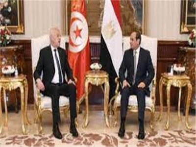 الرئيس السيسي: قضية الأمن المائي المصري جزء من الأمن القومي العربي
