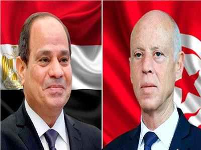 خبراء: زيارة رئيس تونس للقاهرة فرصة لمضاعفة التبادل التجاري بين البلدين