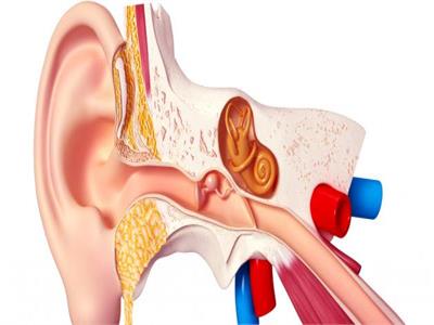 ما هي أعراض ثقب طبلة الأذن؟ 