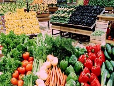السفير الروسي يشيد بجودة المنتجات الزراعية المصرية.. «تشهد إقبالا كبيراً»