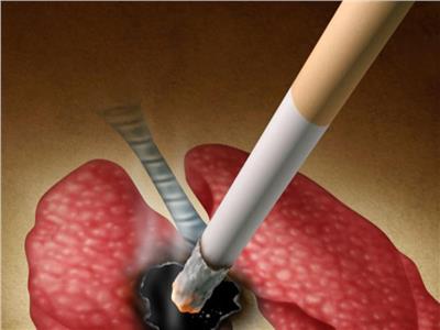 «حسام موافي» يكشف عن علاقة السرطان بالتدخين.. فيديو 