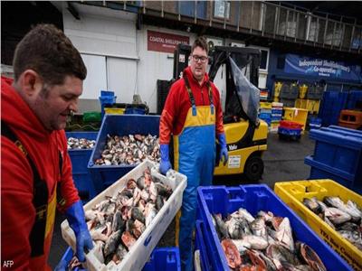 باريس تطالب بتطبيق سريع لاتفاق صيد السمك لما بعد بريكست