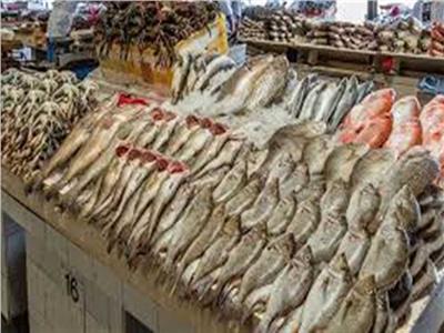 ضبط 99 كيلو أسماك فاسدة في بني سويف