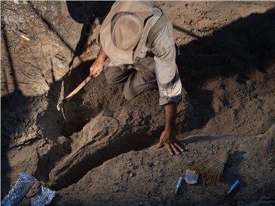 العثور على بقايا 9 أفراد من إنسان «نياندرتال» يعود أحدها إلى 100 ألف عام