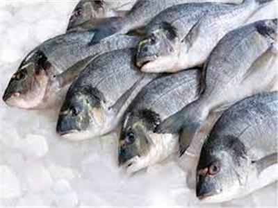 أسعار الأسماك بسوق العبور.. اليوم 28 رمضان