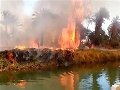 «وكيل التضامن بالأقصر» يكشف سبب حريق قرية العضايمة