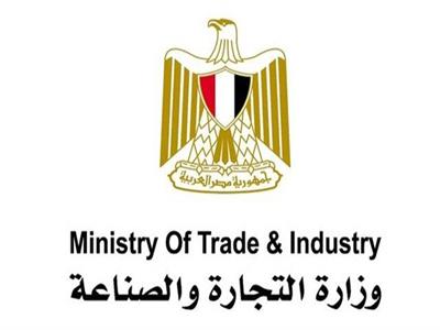 وزارة الصناعة تقرر إلغاء السجل الصناعي للشركة المصرية الصينية للاستثمار