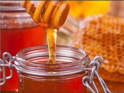 البحوث الزراعية: 2800 طن حجم صادرات مصر من العسل في 2020 .. فيديو