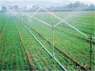 الإرشاد الزراعي: مشروع الري الحديث يضمن الاستهلاك الأمثل للموارد المائية