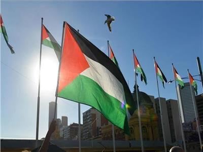 الأردنيون يحتشدون تعبيرًا عن فرحتهم بنصرة الفصائل الفلسطينية| فيديو