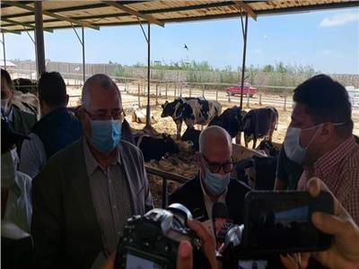 يستوعب ٨ الاف رأس .. مشروع لإنتاج الألبان وتربية الماشية ببورسعيد