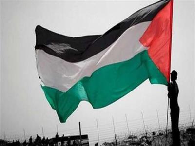 خبير مواقع تواصل: الكثير من منشورات دعم القضية الفلسطينية لم تحقق المطلوب