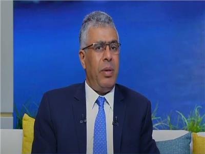 «برلماني» يوضح دور مصر في تثبيت التهدئة وإعادة إعمار غزة | فيديو