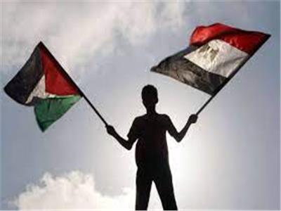 هل تنجح الجهود المصرية لدفع القضية الفلسطينية لمستويات متقدمة؟ عكاشة يجيب