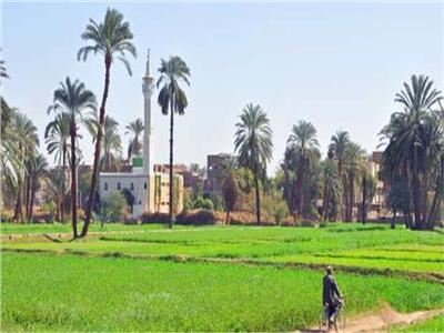 «المالية»: تطوير الريف المصري من أضخم المشروعات على مستوى العالم |  فيديو
