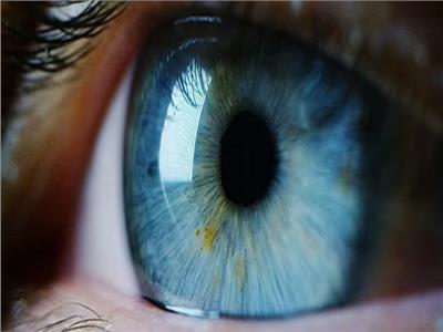 دراسة تفسر العلاقة بين حجم «بؤبؤ العين» والذكاء