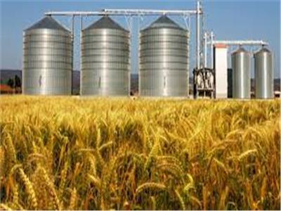 «التموين» 4.5 مليارات جنيه قيمة الهدر في القمح قبل تدشين 35 صومعة