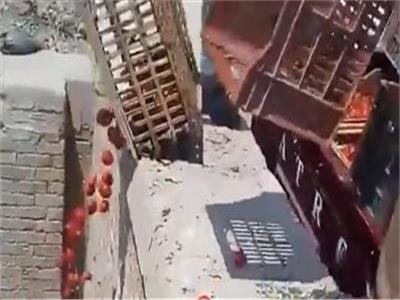 «الداخلية» تكشف تفاصيل فيديو إلقاء «حمولة طماطم» في مصرف بالشرقية