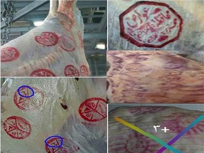 كيف يكشف شكل الختم على اللحوم عن نوعها ومصدرها وتاريخ إنتاجها؟