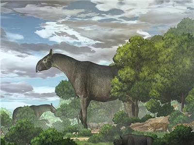 العثور على بقايا وحيد القرن العملاق بعد 26.5 مليون سنة| صور 