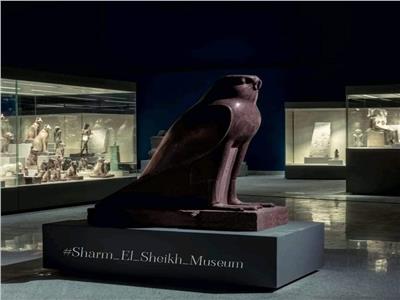 أقدم المعبودات المصرية.. متحف شرم الشيخ يستعرض أحد مقتنياته الصقر المصري