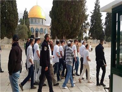 عشرات المستوطنين يقتحمون المسجد الأقصى واعتقال 11 فلسطينيا في الضفة