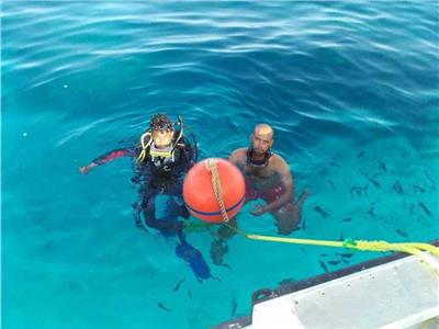 1200 شمندورة للحفاظ على الشعاب المرجانية في البحر الأحمر
