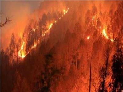 السيطرة على حريق الغابات الهائل في قبرص بعد يومين على اندلاعه