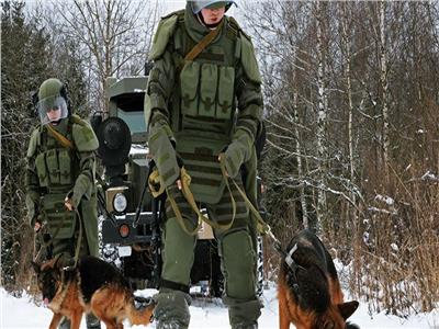 روسيا تعمل على نظام المظلة لإنزال الكلاب    