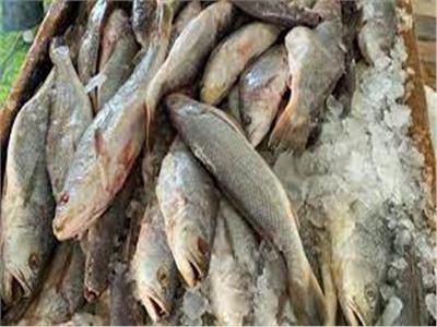 ضبط 2.5 طن أسماك مجمدة غير صالحة بكفر الشيخ