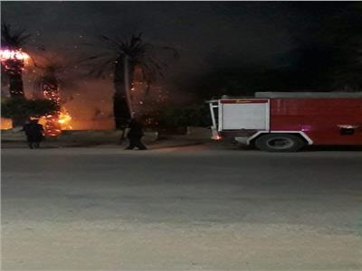 نشوب حريق في الأشجار والنخيل أمام مستشفى بني مزار العام بالمنيا| فيديو
