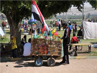 المنيا تستعد لاستقبال عيد الأضحي بتكثيف التواجد المروري 
